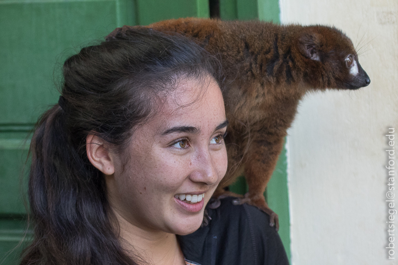 lauren and lemur